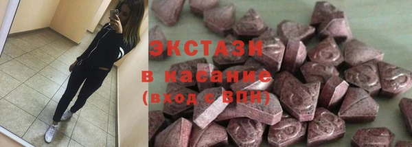 индика Медногорск