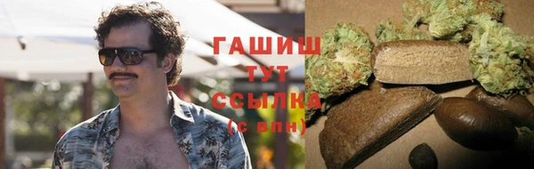 индика Медногорск