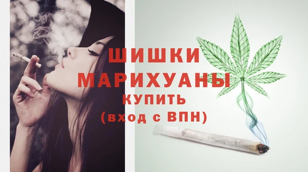 индика Вязники