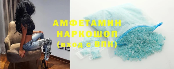 индика Медногорск