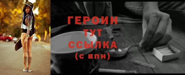индика Медногорск