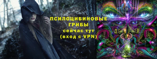 спайс Медвежьегорск
