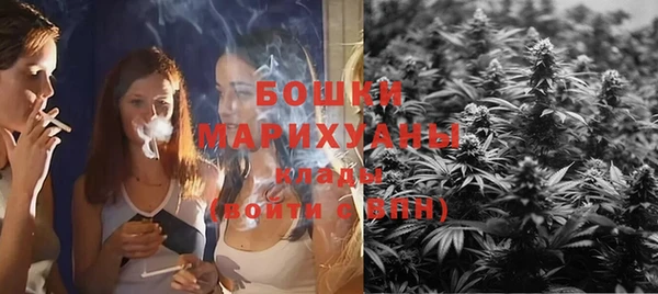 PSILOCYBIN Михайлов