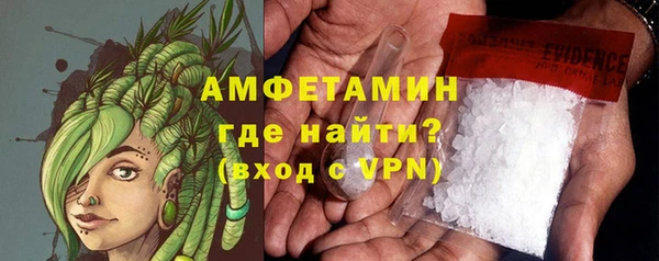индика Медногорск
