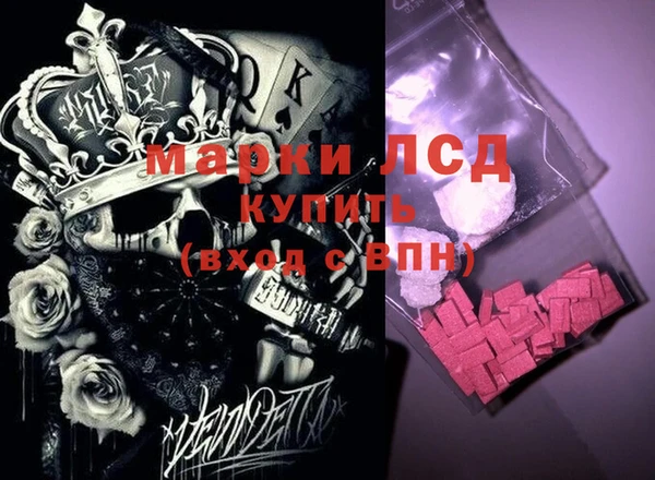 индика Медногорск