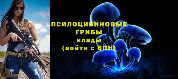 меф Мегион