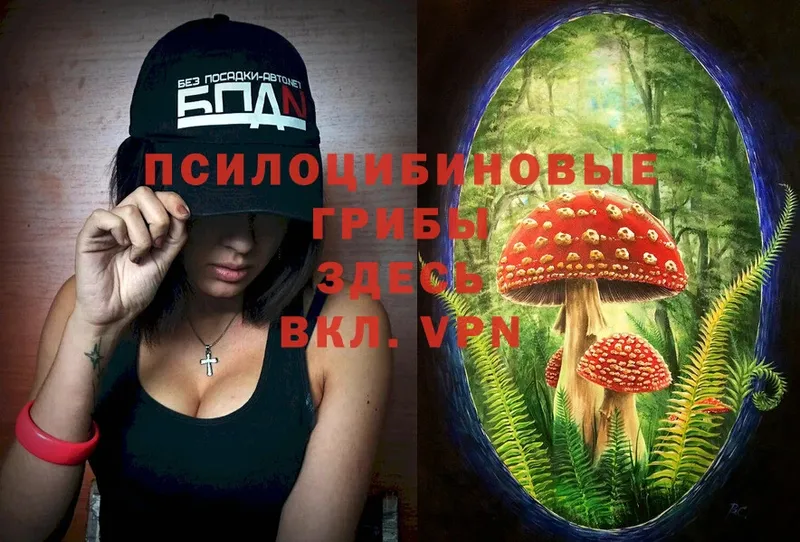 Галлюциногенные грибы Magic Shrooms  закладки  Мамадыш 